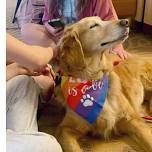 Horseheads Therapy Dog Visit