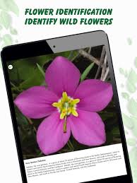 How to identify flowers with iphone. Plant Identification Lite App For Iphone Free Download Plant Identification Lite For Iphone Ipad At Apppure