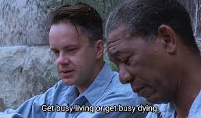 The Shawshank Redemption (1994), Frank Darabont. See more:  themindcircle.com/the-shawshank-redemption/