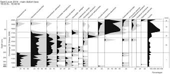 Image result for Kohautia microflora