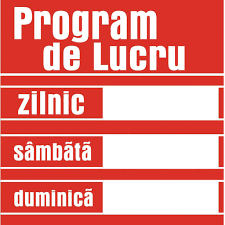 Placuta Program De Lucru Brico Depot