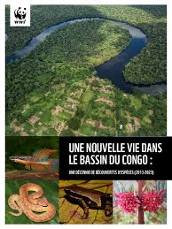 Image result for Plumbago ituriensis