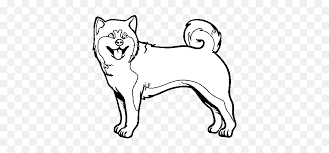 Roblox doge is a catalog item in the avatar shop of roblox. Download Hd Akita Dog Coloring Page Shiba Inu Coloring Shiba Inu Coloring Page Png Shiba Inu Png Free Transparent Png Images Pngaaa Com