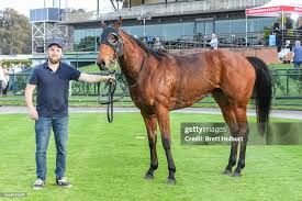 Image result for Handic 64