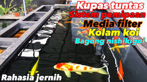 Filter Kolam Koi Jernih Sistem Filterasi Pemipaan Dan Media Filter Bagong Nishiki Goi Farm Youtube