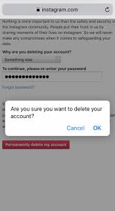 The option to permanently delete your account will only appear after you've selected a reason from the menu. How To Delete Your Instagram Account On An Iphone