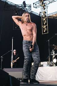 Iggy pop serves up a sonic cocktail with tracks by iceage, eater, arlo parks and cobrah. Grusel Fotos Iggy Pop Ganz Schon Ledrig Promiflash De