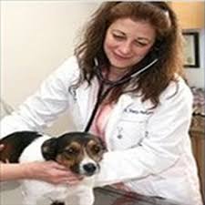 Since 1956, county line veterinary hospital in hatboro, pa., has please take a look around to learn about the montgomery county veterinary services offered, meet the doctors and staff and more. County Line Veterinary Hospital 16 Reviews Veterinarians 325 W County Line Rd Hatboro Pa Phone Number
