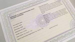 Some companies want to know that all your financials are in order with sars before doing business with you. Certificate Of Current Professional Status Letter Of Good Standing Schweizerisches Rotes Kreuz