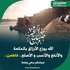 pin on موضوع ومعلومات