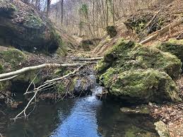 The following article is from the great soviet encyclopedia. Wanderung In Dem Schonsten Tal Des Ostlichen Mecsek Gebirges Wunderbaresungarn De