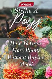 Order online tickets tickets see availability directions. Yates Gardening Yatesgardening Profile Pinterest