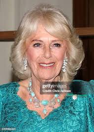 87,264 Camilla Queen Stock Photos, High-Res Pictures, and Images