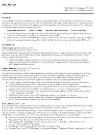 school counselor resume: sample