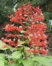 Buses run on fixed routes around port visit our assisted living in florida page for more information about these laws. Port Orange Florida Attractions And Activities With Kids Trekaroo