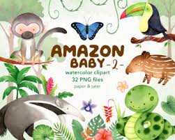 We did not find results for: Watercolor Amazon Baby Animals 2 Clipart Graphic Tropical Rainforest Jungle Png