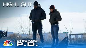 Why Vanessa Rojas From Chicago P.D. Looks So Familiar