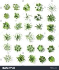 If you like, you can download pictures in icon format or directly in png image format. 15 Watercolor Plants Ideas Tree Plan Trees Top View Landscape Design