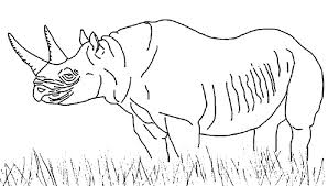 What about a page of reptiles… Pin On Coloring Pages