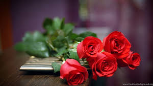 Maybe you would like to learn more about one of these? Rose Flower Wallpapers Hd Desktop Background