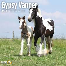 Generally, in the us, gypsy horse, gypsy cob and gypsy vanner all refer to the same horse. 2021 Gypsy Vanner Wall Calendar By Bright Day 12 X 12 Inch Farm Animal Horse Buy Online At Best Price In Uae Amazon Ae