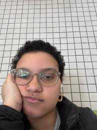 Pet friendly 2-3 bedroom apartment lease for NYC