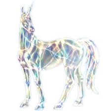 Image result for howrse rare apple coats