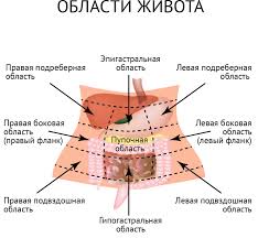 Bol V Zhivote