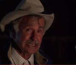 Does anybody remember the short lived show "The Yellow Rose of Texas?"