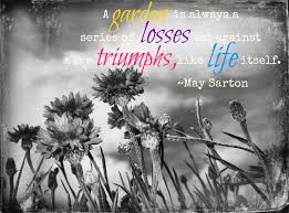 Even though all families are complicated, the shortest quotes about family can manage to say. Family Garden Quotes Quotesgram
