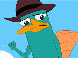 Wait till you see the secret undercover side of perry the platypus from disney's phineas and ferb in these stickers! Perry The Platypus Trust Me Animated By Jaycasey On Deviantart