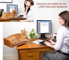 Ars Staffers Exposed Our Home Office Setups Crazy Cat Lady Gifts Cat Perch Cat Furniture Design