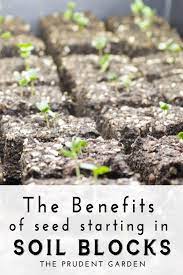 The Benefits Of Seed Starting In Soil Blocks Seed Starting Mix Seed Starting Soil