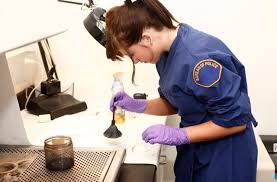 Apply to case manager, field investigator, academic advisor and more!99 criminal justice degree jobs available in arkansas on indeed.com. What Can You Do With A Master S Degree In Criminal Justice Best Graduate Schools Us News