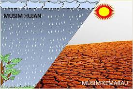 Jelaskan Perubahan Musim Di Indonesia Sketsa