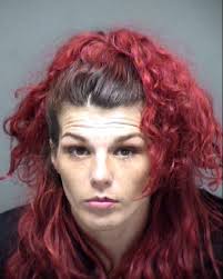 Airbnb guest sues alleging host pepper sprayed children, pets