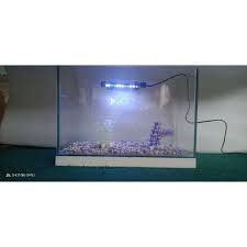 Aquarium bisa dipesan sesuai ukuran yang diinginan. Harga Aquarium 40x20x20 Terbaru Agustus 2021 Biggo Indonesia