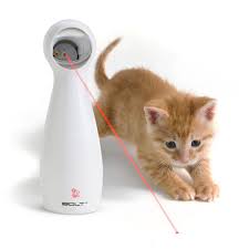 I've spent so much money on expensive cat toys, teasers, etc, and was very disappointed in myself when i learned how absolutely wild my cats go over the $1 cat dancer. The 7 Best Interactive Cat Toys