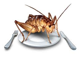 What do spider crickets look like? Can Eating Crickets Boost Your Health