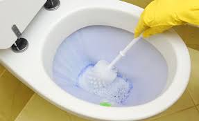 How to block soil pipe when permanently removing a toilet. How To Remove Limescale From Toilets The Pink Plumber
