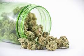 Baking your weed will kill most spores in mildly affected product. Difference Between Hashish And Marijuana Sunrisehouse Com