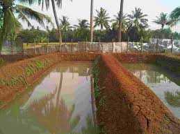 Kolam dikuras dan tanah dasar kolam dicangkul. Cara Membuat Kolam Tanah Untuk Budidaya Ikan Hello Magetan