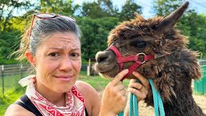 Why I Regret Getting Alpacas