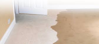 Hydrostatic pressure is the most common cause of basement water penetration. Is Water Seeping Into Your Basement Contact Our Basement Experts