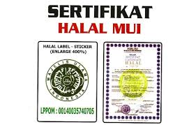 Check spelling or type a new query. Usahawan Kuliner Begini Cara Dapatkan Logo Halal Dari Mui Cita Wanita