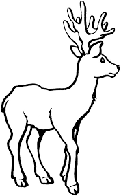 Home / animals / elk. Coloring Pages Coloring Pages Elk Printable For Kids Adults Free