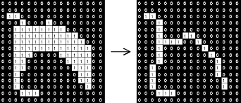 Morphology Thinning