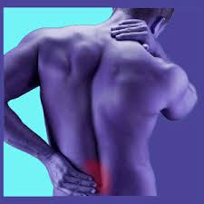 Our lower back carries a heavy burden even when we aren't doing any lifting or carrying. Lower Back Muscles Uneven Pin On Back Problem Joi Can Treat Lower Back Pain And Muscles Of The Lower Back Muscle Injuries Of The Lower Back Are Commonly Caused By