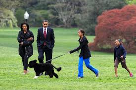 Er ist die zentrale figur in dessen lebenserinnerungen von 1995 mit dem titel dreams from my father , die von den lebensprägenden eindrücken aus diesen wenigen tagen erzählen. Die Obamas Trauern Um Familienhund Bo