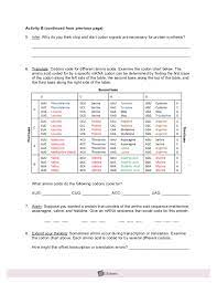 Rna Protein Synthesisse